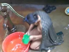 دختر شب بیدمشک عکسکون وکوس